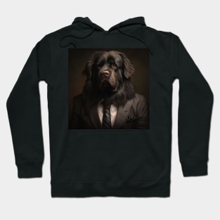 Newfoundland Dog in Suit Hoodie